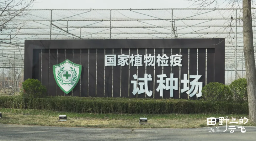 全國農技推廣中心順義基地：數字監測勾勒植保新圖景
