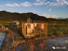 蟲情信息采集系統(tǒng)：減少小麥種植的投入成本